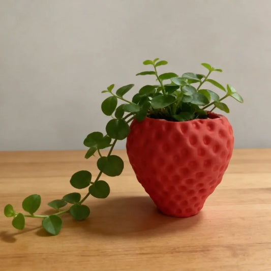 Strawberry Shaped Mini Flower Pot | Desktop Planter & Décor Decorative Mini Planter Peaceful Pleasures Health and Wellness