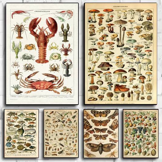 Vintage Vegetable Fruit Mushroom Poster HD art sticky wall waterproof home living room bedroom bar aesthetic decoration Peaceful Pleasures Health and Wellness