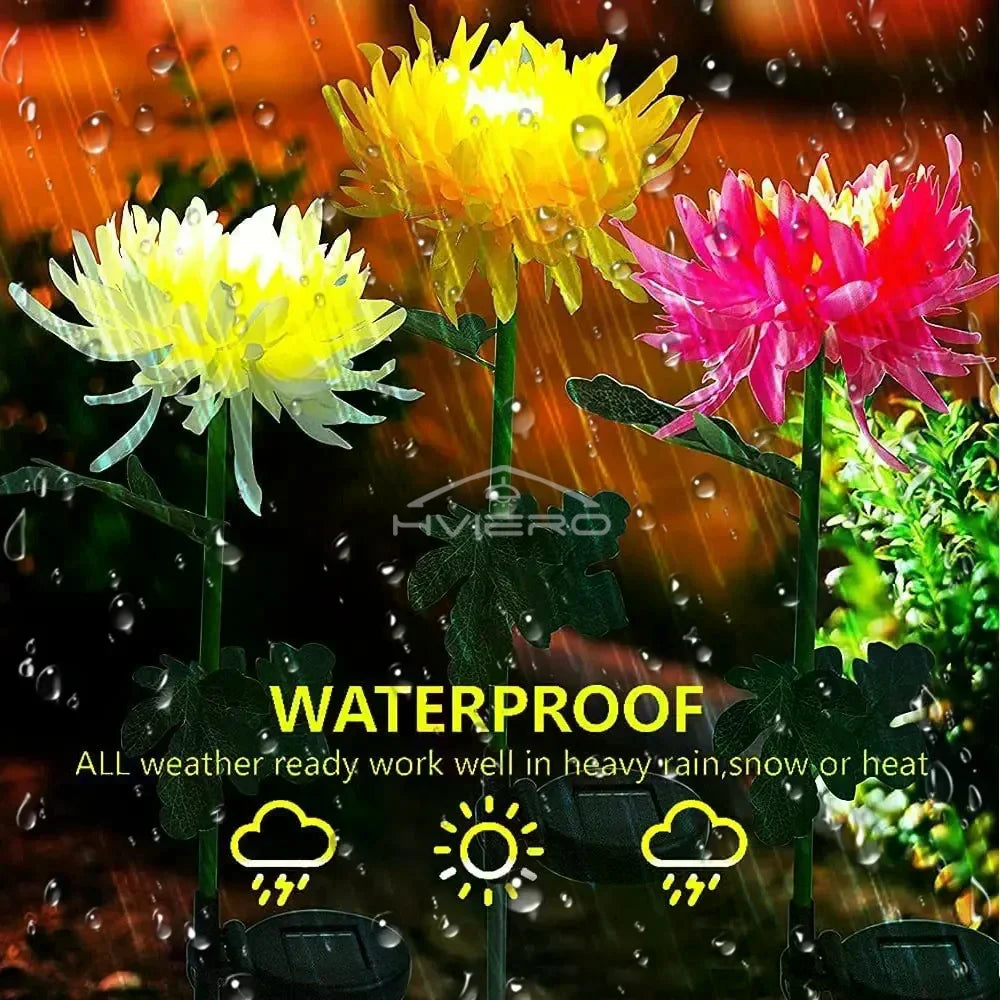 Solar Chrysanthemum LED Garden Stake Light | IP65 Waterproof