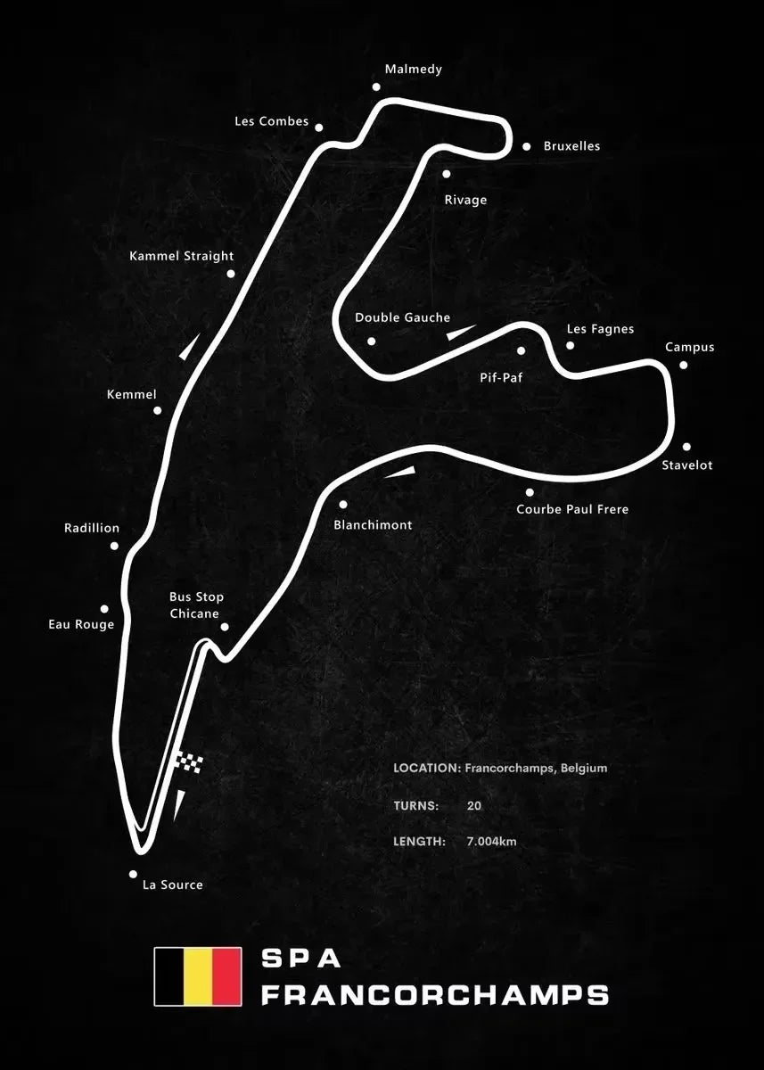 Modern World Racing Circuits Poster Prints Nurburgring Sarthe Nordschleife Canvas Painting Wall Art Picture Room Garage Decor Peaceful Pleasures Health and Wellness
