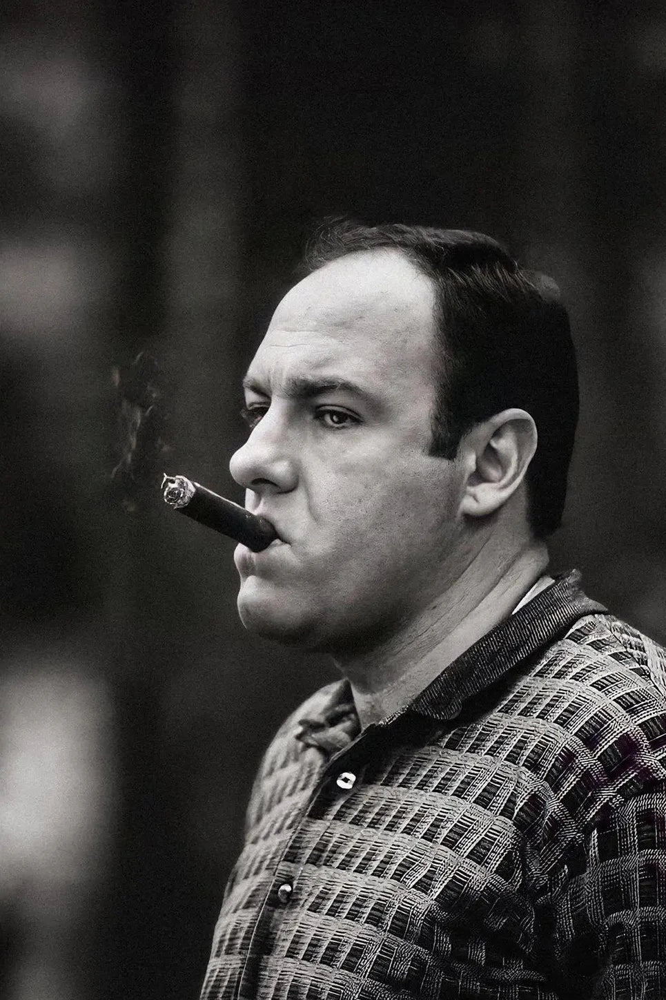 Classic The Sopranos Canvas Wall Art Retro TV Show Family Character Smoking Poster Vintage Home Room Decoration for Fans Peaceful Pleasures Health and Wellness 9 40x50cm Unframed