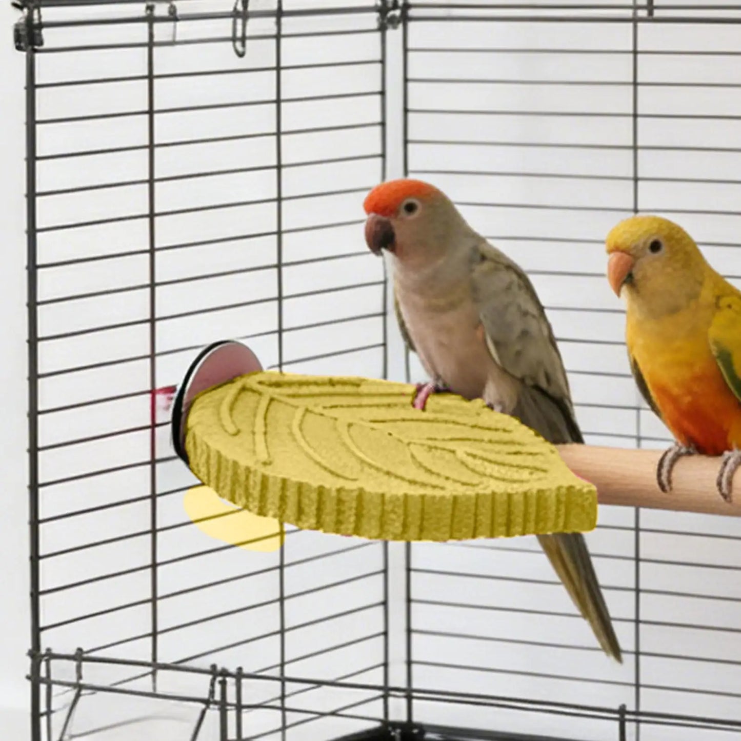 Resin Bird Perch Stand for Cockatiels & Parakeets | Cage Toy