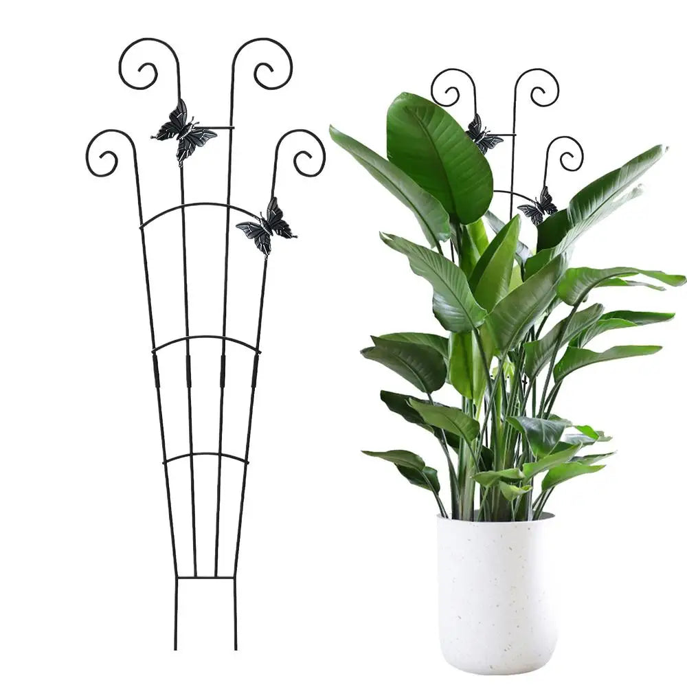 Metal Plant Support Stakes | Trellis for Tomato, Orchid & Vines