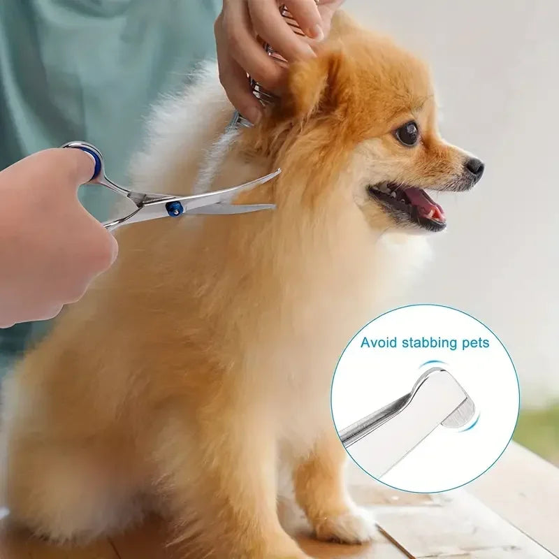 Dog Grooming Scissors – Round Tip Safety Shears, Stainless Steel