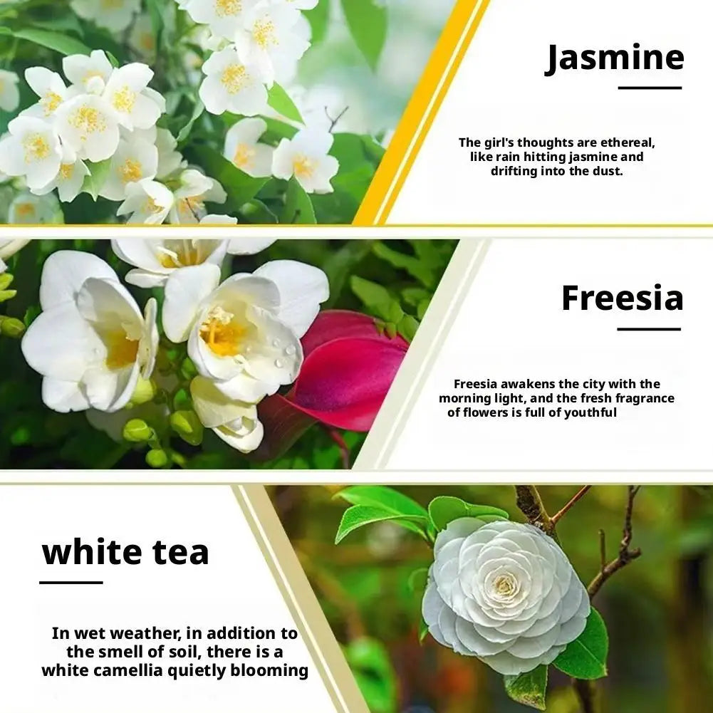 10ml Essential Oils Flameless Fragrance Oils for Humidifiers, Rose,Lavender,Lemon,Mint,Jasmine,Ocean,Freesia,White Tea Scents Peaceful Pleasures Health and Wellness