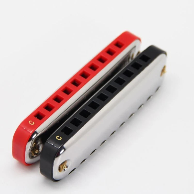 10-Hole Blues Harmonica Key C Adult Beginner Pocket Instrument Gray