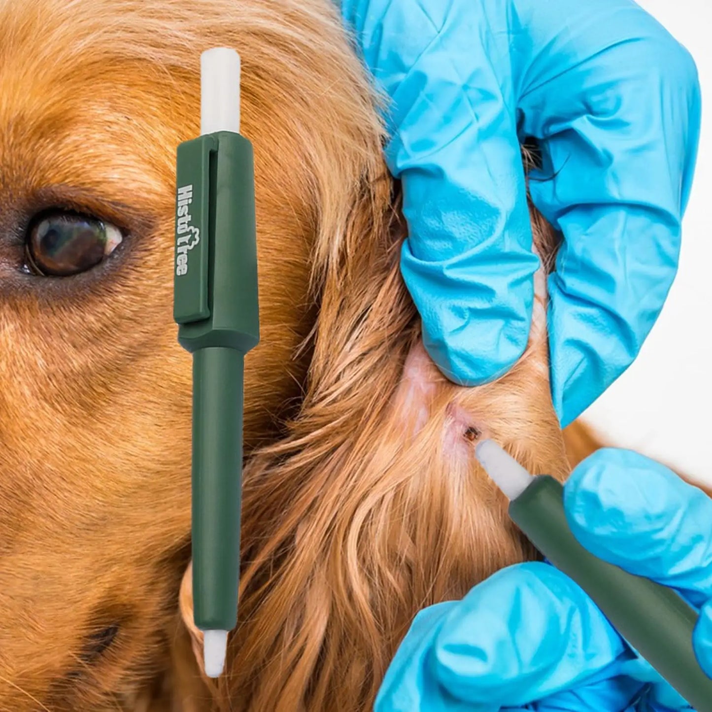 Tick Remover Pen for Cats, Dogs & Humans | Portable Tool Tick Removal Tool Peaceful Pleasures Health and Wellness