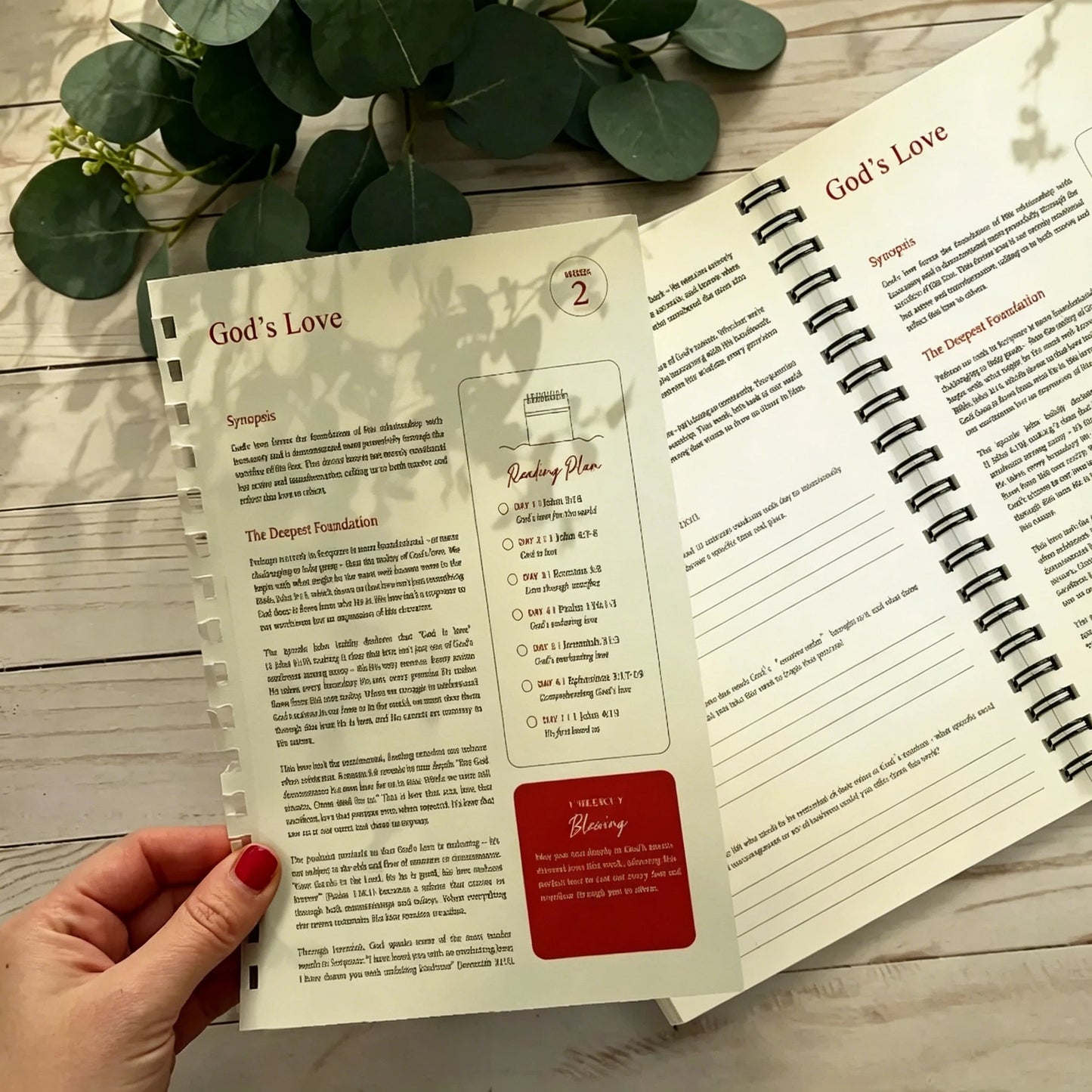 Bible 52 Weeks Women Daily Scripture Study Journal Reflections