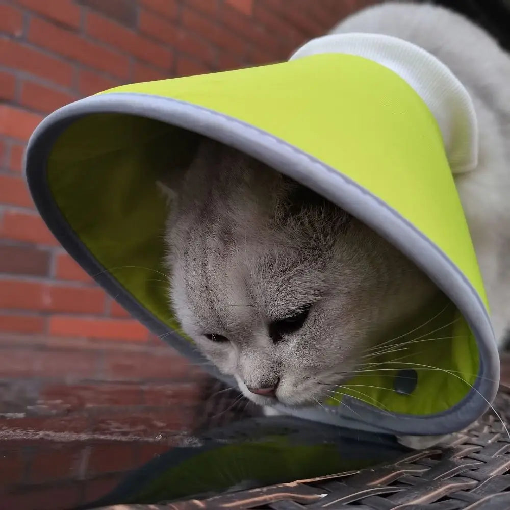 Adjustable Cat Cone Collar – Soft, Breathable & Lightweight