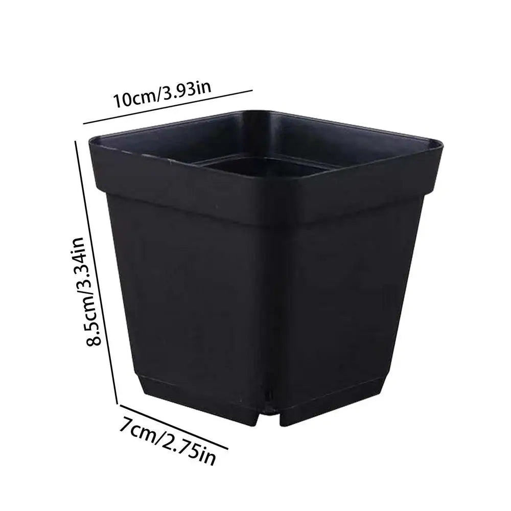 50-Pack Square Seedling Starter Pots with Drainage | Garden Kit