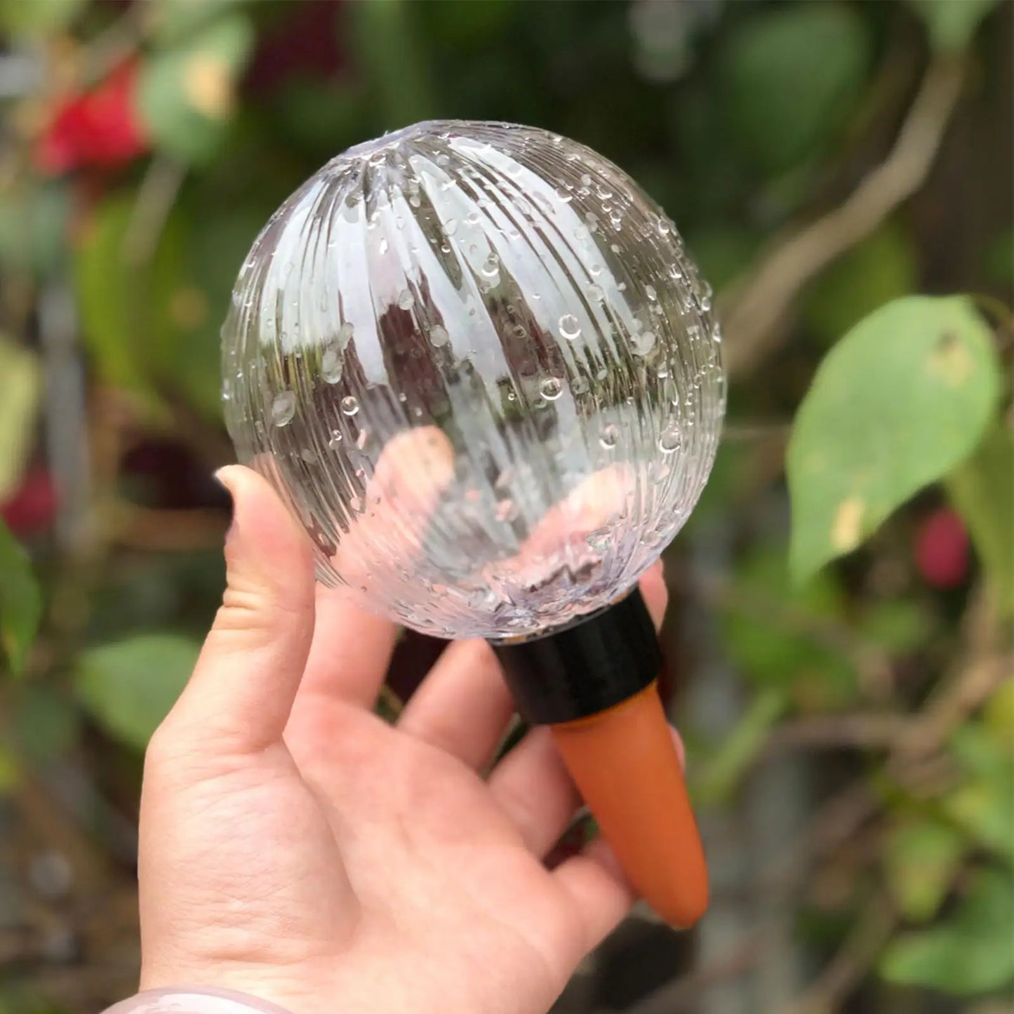 Self Watering Planter Insert 500ml Large Automatic Globes Outdoor Plants Watering Spikes For Flower House Potted Hydroponic Grow Peaceful Pleasures Health and Wellness