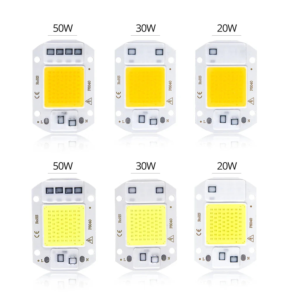 COB LED Chip 20W 30W 50W AC 110V/220V No Driver DIY Flood Light