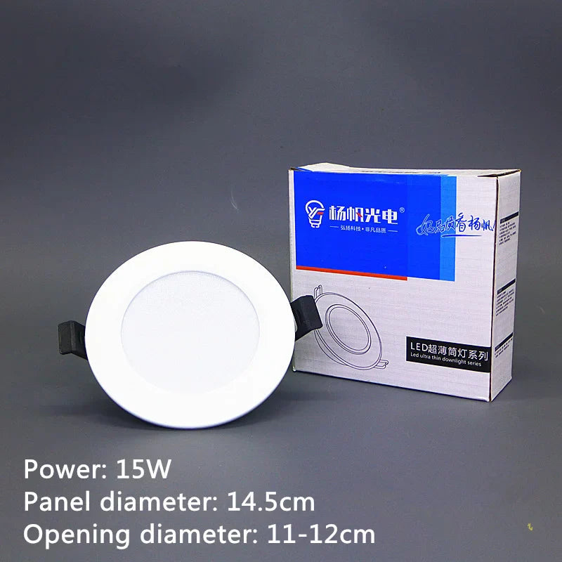 LED Recessed Downlight Ceiling Spotlight 6W–20W | AC220V