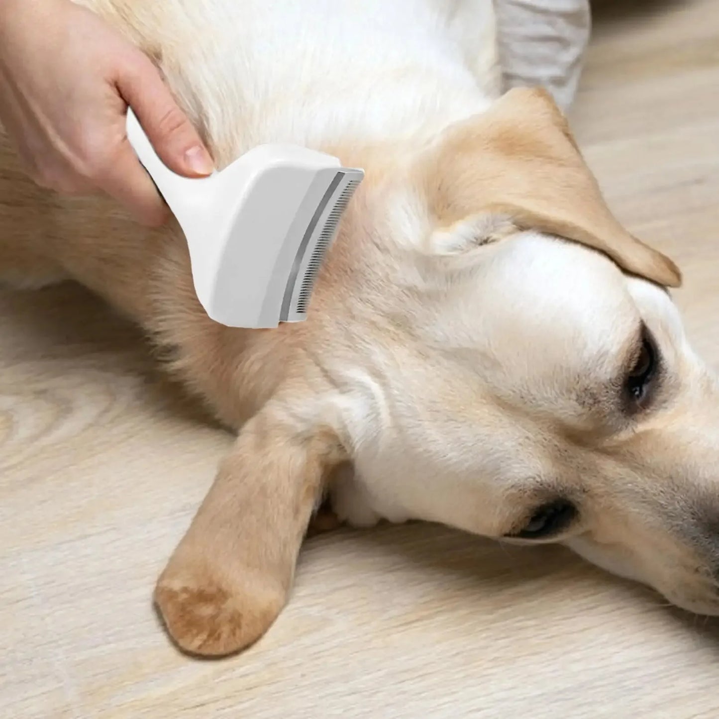 Pet Slicker Brush & Deshedding Comb for Dogs & Cats
