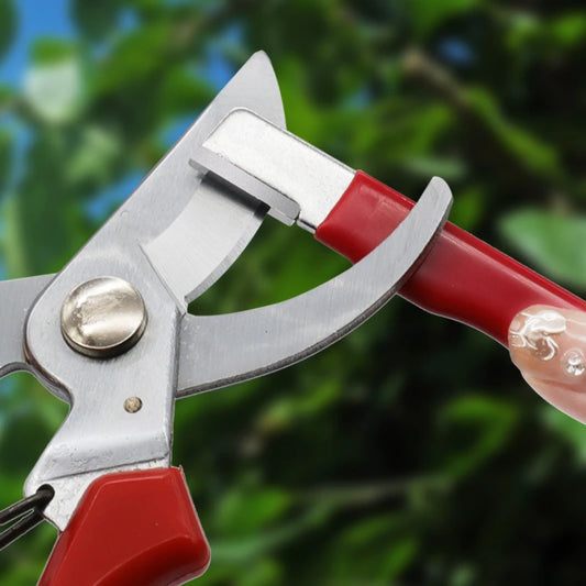 Professional Kitchen Knife Sharpener - Tungsten & Diamond Ceramic Sharpening Stone for All Blades Including Garden Scissors Peaceful Pleasures Health and Wellness