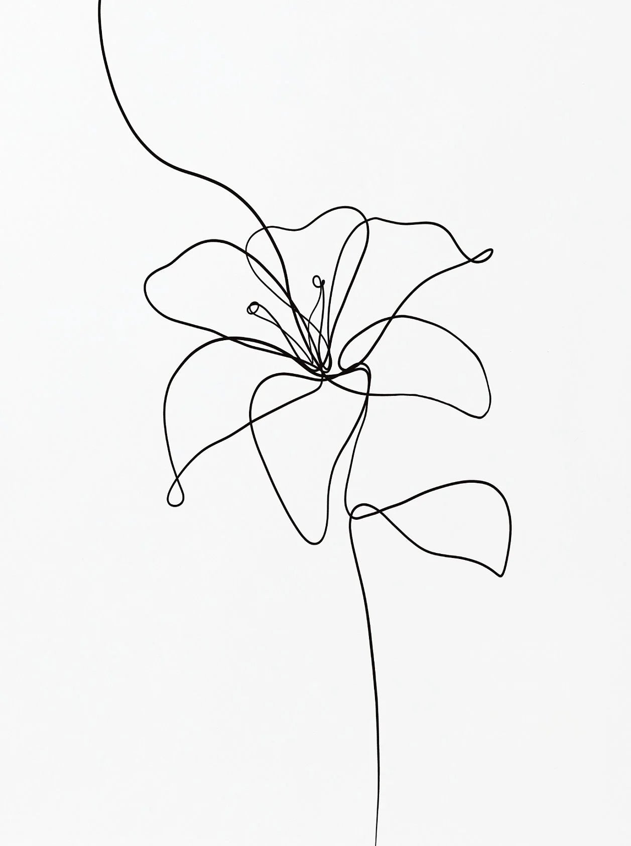 Minimalist Botanical Flower Bouquet Canvas Wall Art | Black & White