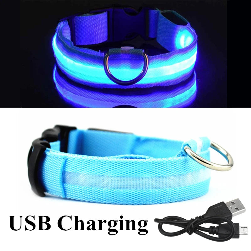 Colorful USB Rechargeable Pet Dog LED Glowing Collar Luminous Flashing Necklace Outdoor Walking Night Safety Supplies DC05 Peaceful Pleasures Health and Wellness Blue USB XS(28-40cm)