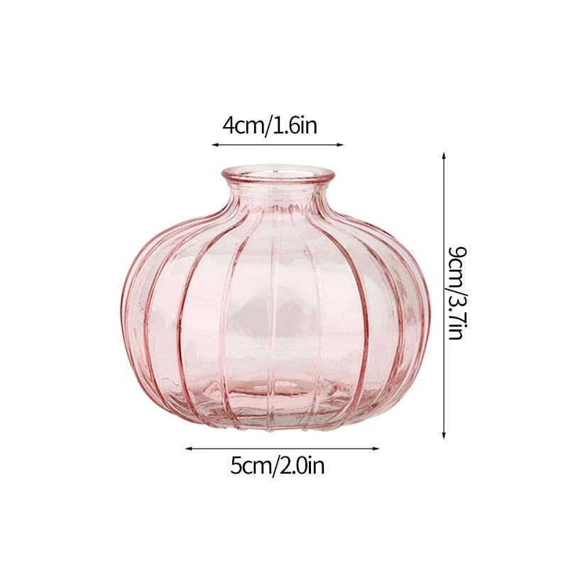Vintage Transparent Glass Vase | Flower Bottle & Plant Pot