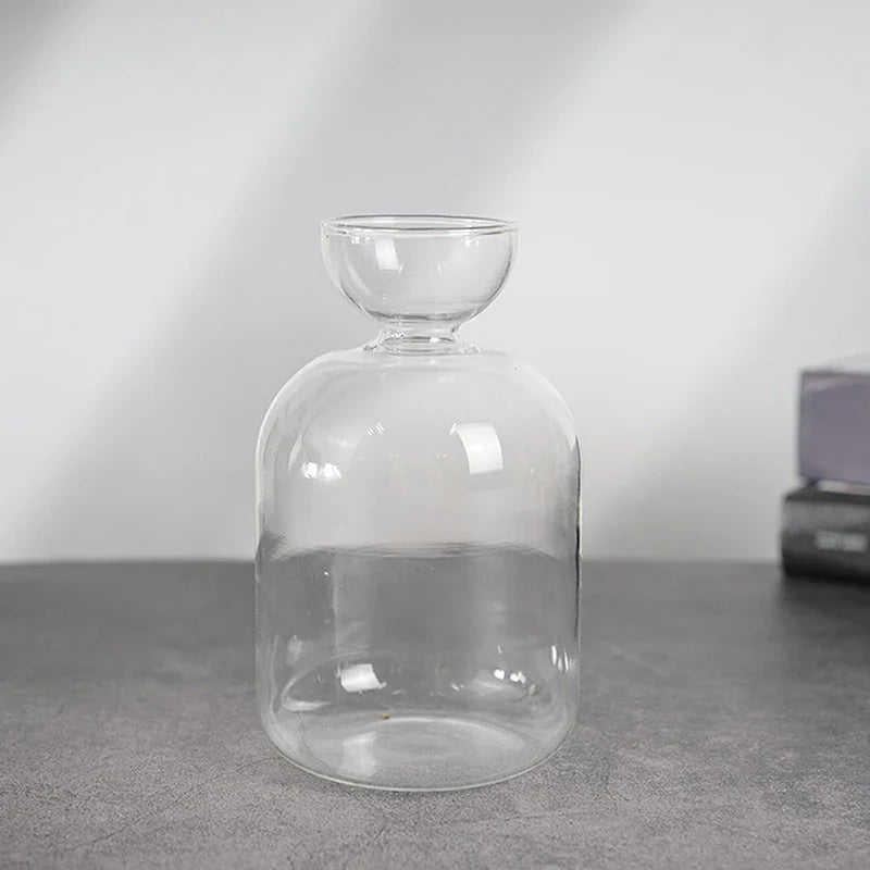 Avocado Seed Starter Glass Vase – Hydroponic Planter Kit