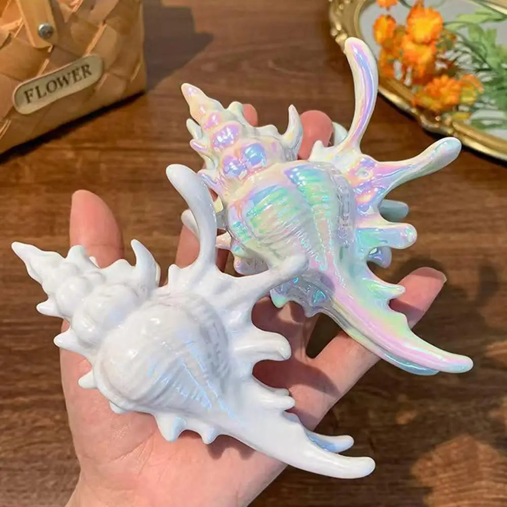 Acrylic Conch Hair Claw Clip | Large Seashell Clamp for Women