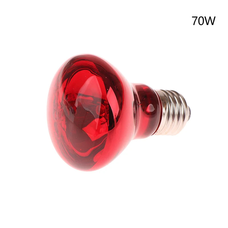 Reptile UVA Heating Bulb E27 | 25W–100W Basking & Night Heat
