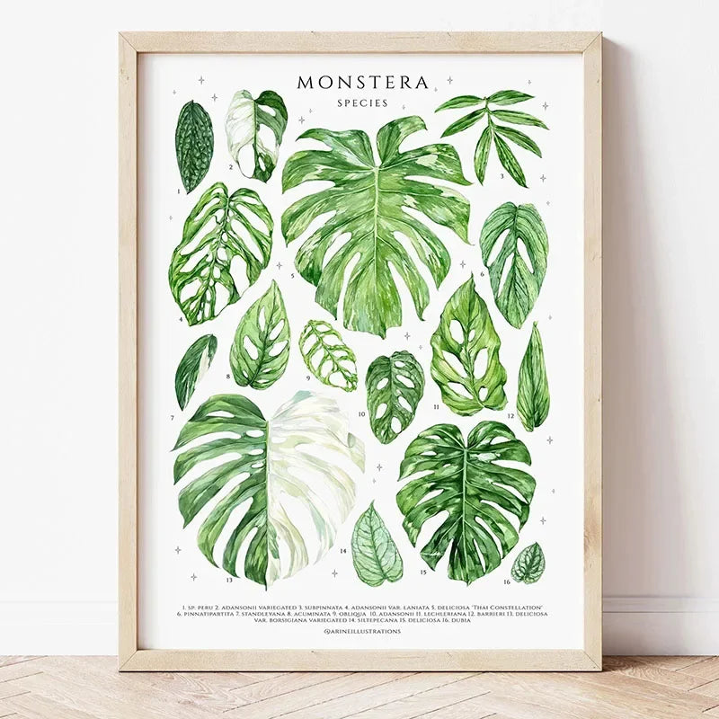 1pc Green Botanical Leaves Interior Art Print Houseplants Nature Indoors Canvas Wall Home Decor Calming Poster Foliage and Plant Peaceful Pleasures Health and Wellness 2 30x40cm Unframed
