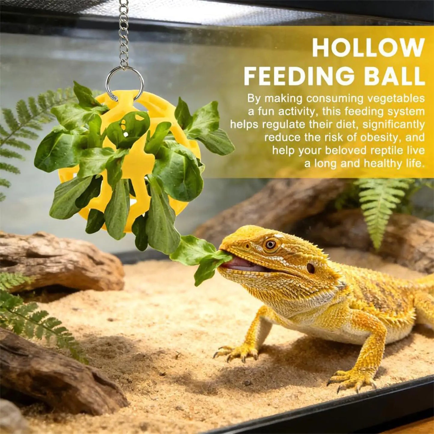 Toys For Bearded Dragons Lizard Foraging Playing Interactive Lizard Feed Ball For Keepers Pet Parents Animal Lovers Terrarium Peaceful Pleasures Health and Wellness