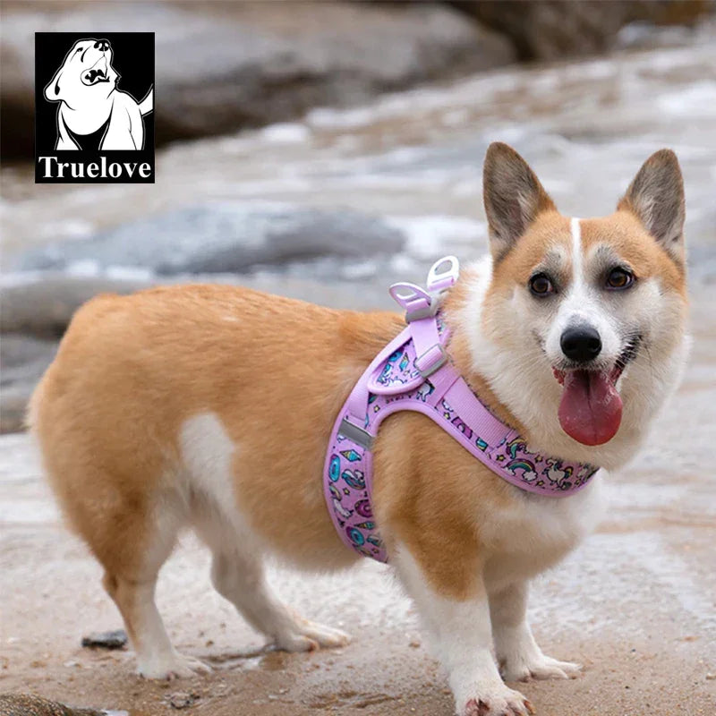 Truelove Easy to Take-on Dog Harness Soft Material Fashion Design Adjustable Reflective Pet Har TLH3013 TLH30131 Peaceful Pleasures Health and Wellness Orchid Bouquet- S China Mainland
