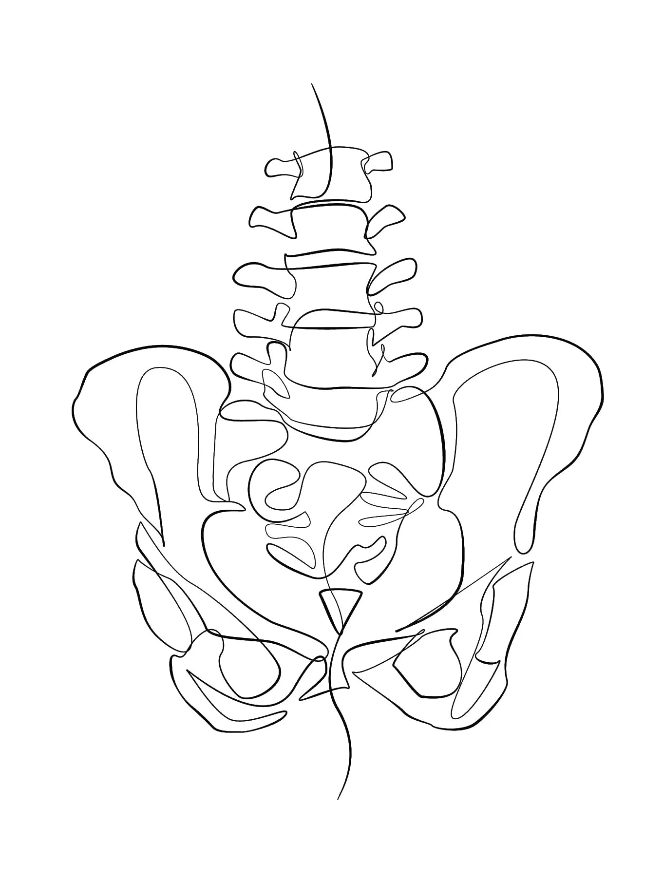 Human Anatomy Skeleton Canvas Wall Art | Medical Line Art Poster