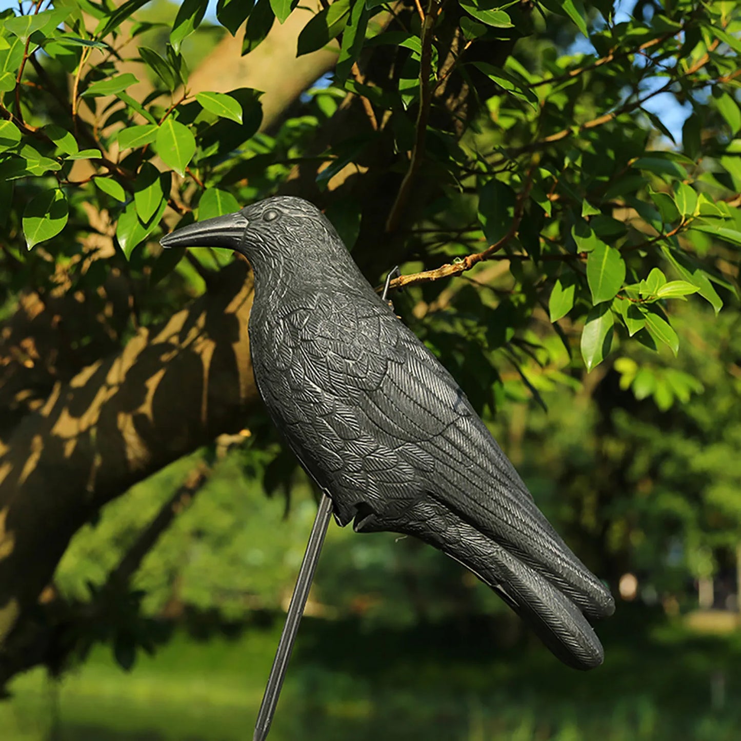 Fake Crow Bird Repellent Decoy – Pigeon & Pest Deterrent