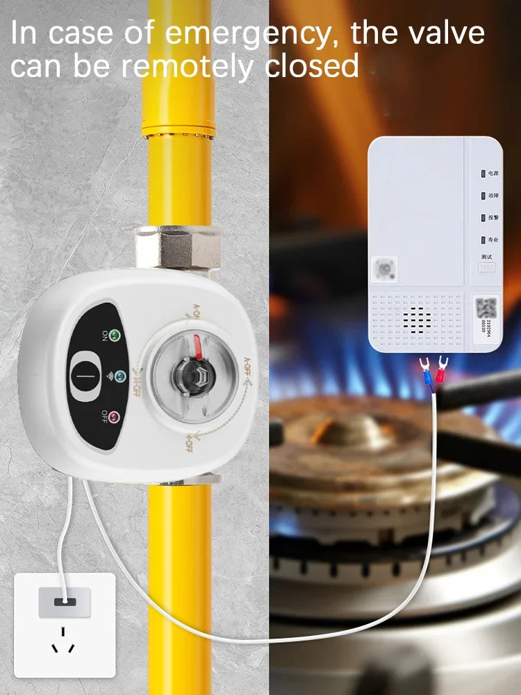 WiFi Smart Water Valve – Voice, App & Timer Control Peaceful Pleasures Health and Wellness