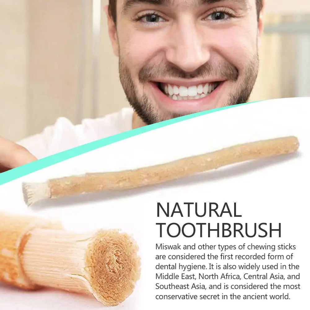 1pc Portable Miswak Siwak Natural Toothbrush Misvak Miswaak Teeth Traditional Arak Travel Whitener Toothbrush Oral Care Peaceful Pleasures Health and Wellness