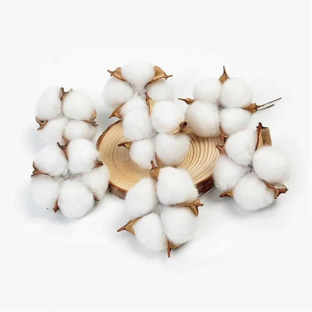 20pcs White Artificial Cotton Flower Heads 6cm | DIY Decor