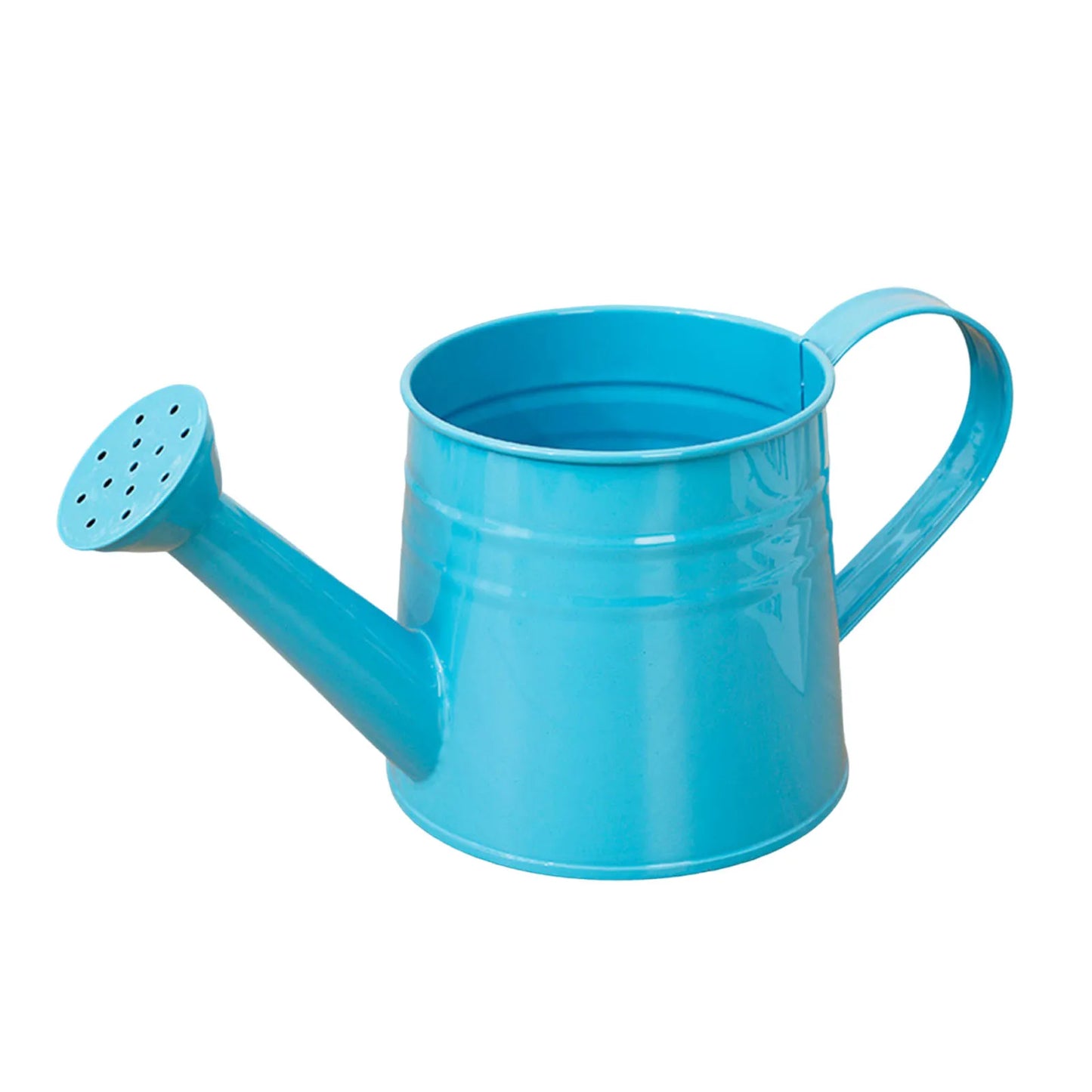 1L Retro Metal Painted Watering Can Rust- Vintage Garden Sprinkling Can Galvanized Spray Water Kettle for Indoor Plants Peaceful Pleasures Health and Wellness Sky Blue