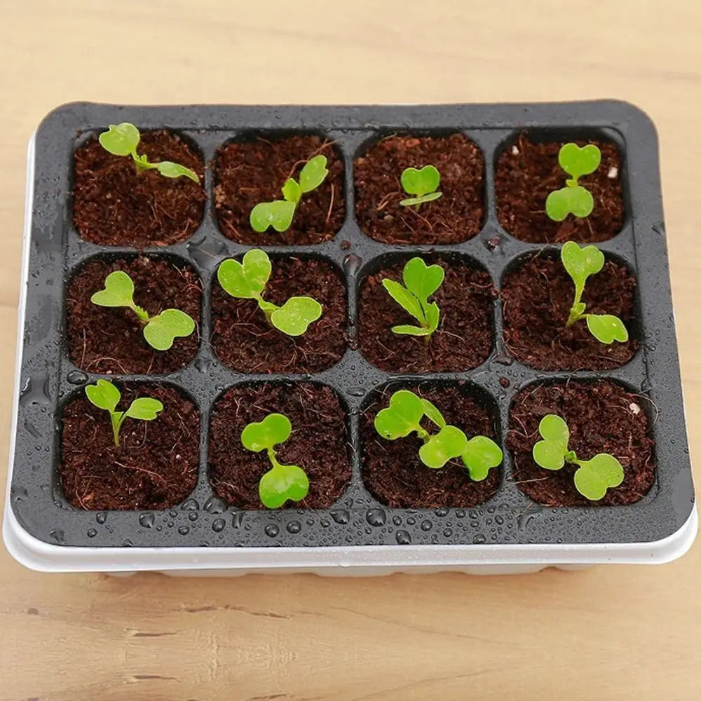 12-Cell Seedling Tray with Cover – Portable Germination Box