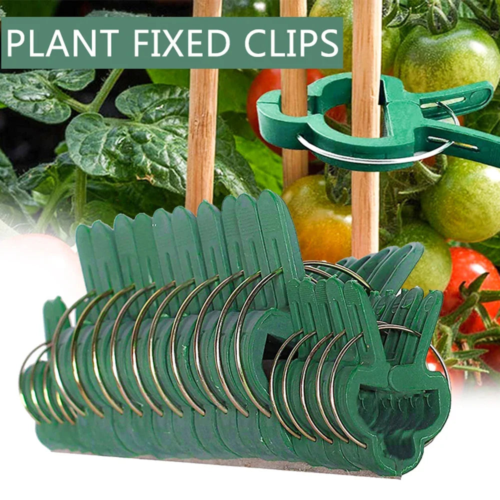 Plant Support Clips – Reusable Vine & Branch Clamping Stakes