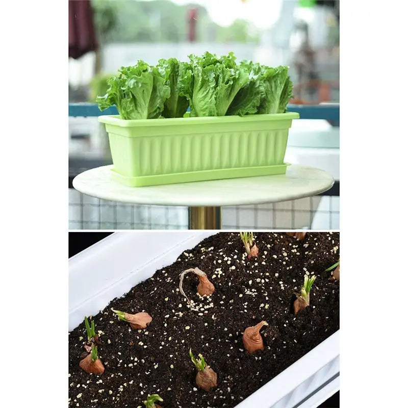 A36T-Nursery Pot Absorbing Water Vegetable Pot Long Strip Double Layer Flower Pot Plastic Basin For Indoor Garden Balcony Peaceful Pleasures Health and Wellness