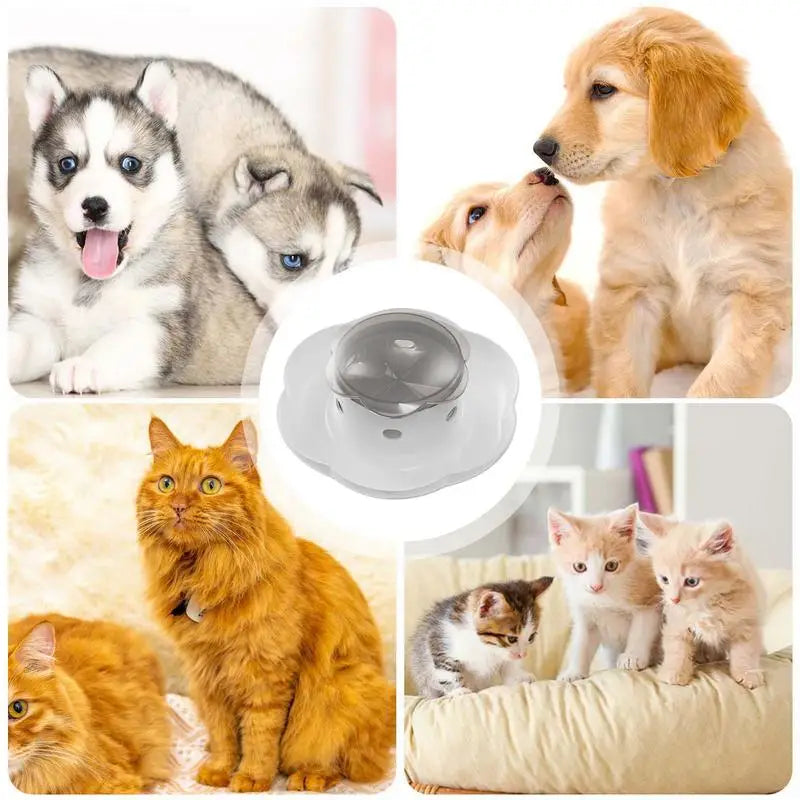 Dog Puzzle Slow Feeder – Interactive Treat Dispenser Bowl