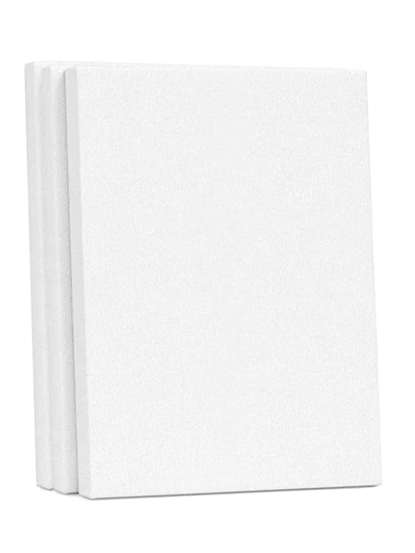 Bview Art Professional 100 Cotton 20x30cm Stretched Canvas Oil