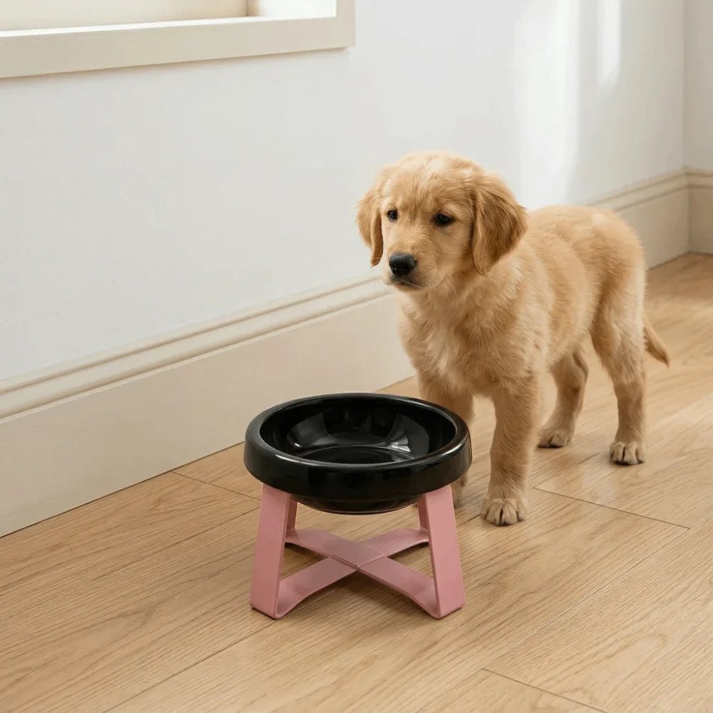 Elevated Cat Bowl – Anti-Spill Raised Pet Food Bowl