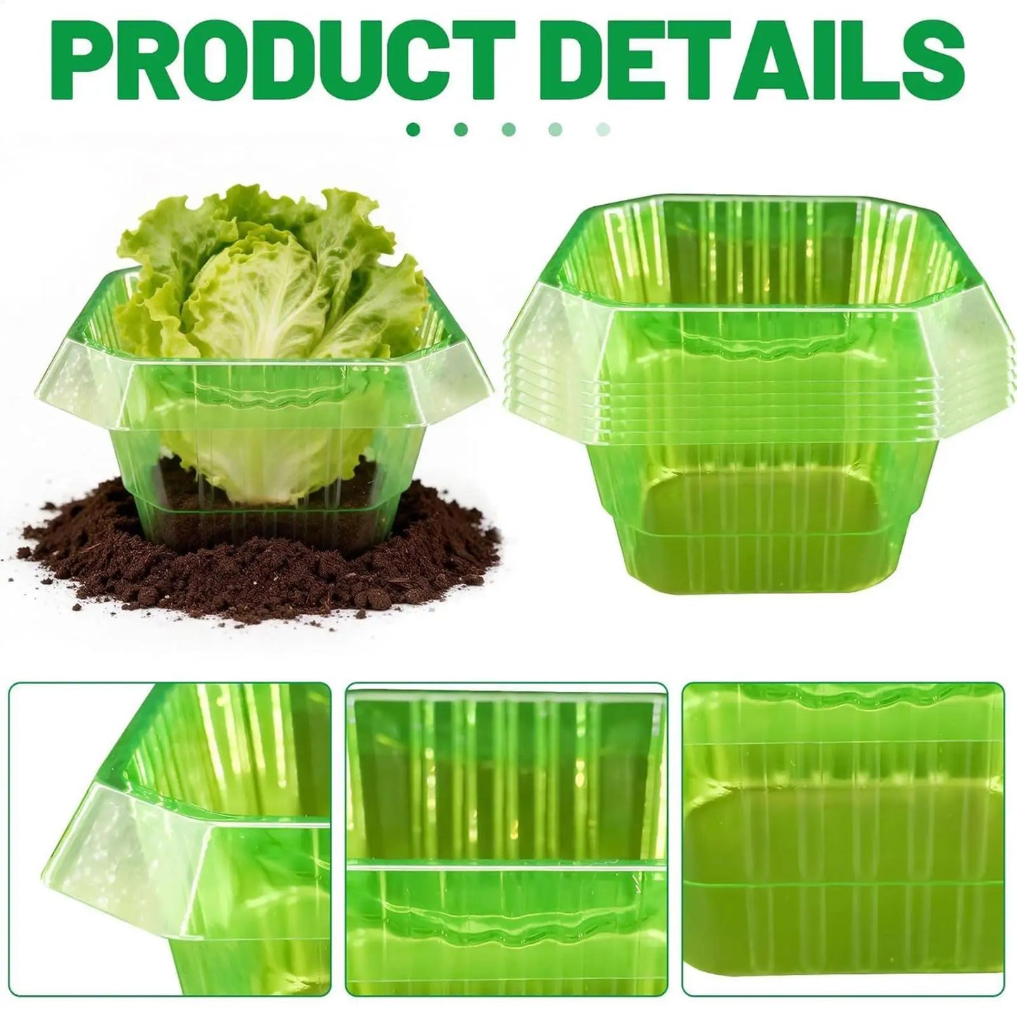 20-Pack Garden Plant Cloches | Frost & Insect Protection