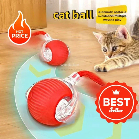 Electronic Auto-Rolling Interactive Cat Ball Toy | USB Rechargeable Interactive Cat Toy Oasis Select