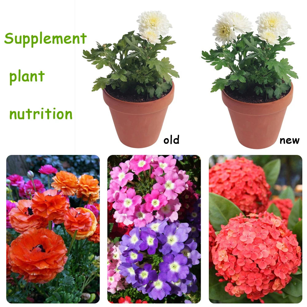 10 G Organic Fertilizer Mini Package Green General Purpose Safe And Pollution Free Use Flower Plant Food For Garden Bonsai Peaceful Pleasures Health and Wellness