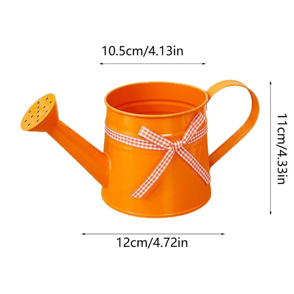 Mini Metal Watering Can – Decorative Indoor Plant Sprinkler 1L