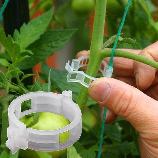 Plant Clips Supports Reusable Plastic Connects Fixing Vine Tomato Stem Grafting Vegetable Plants Orchard and Garden Tools 100PCS Peaceful Pleasures Health and Wellness