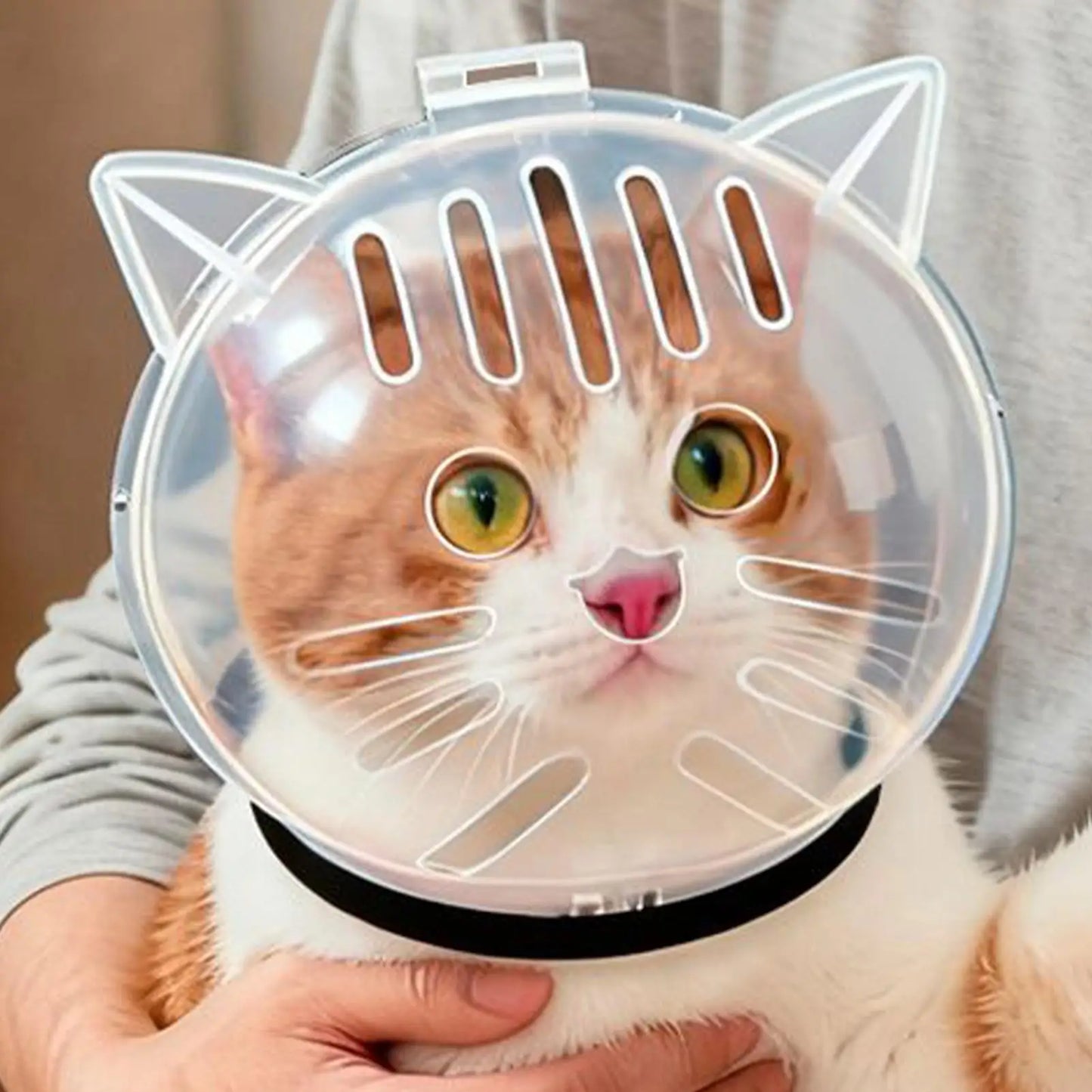Cat Bubble Muzzle | Breathable Transparent Grooming Helmet
