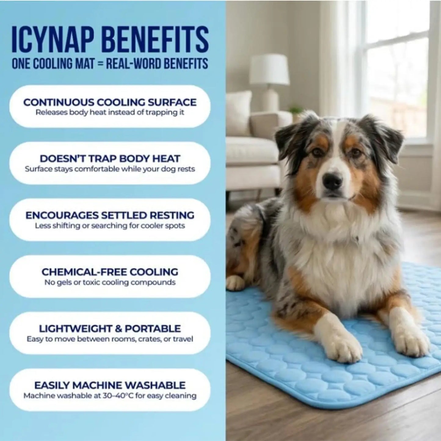 Dog Cooling Mat Ice Silk – Washable Breathable Pet Pad