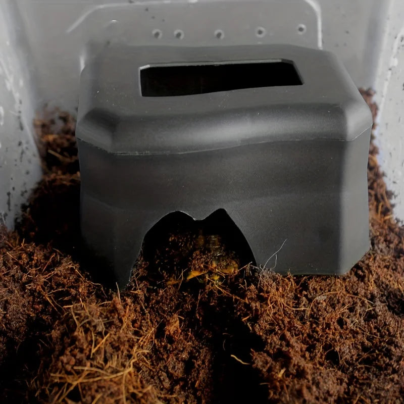 Reptile Water Bowl – Tortoise, Snake & Lizard Drinking Basin