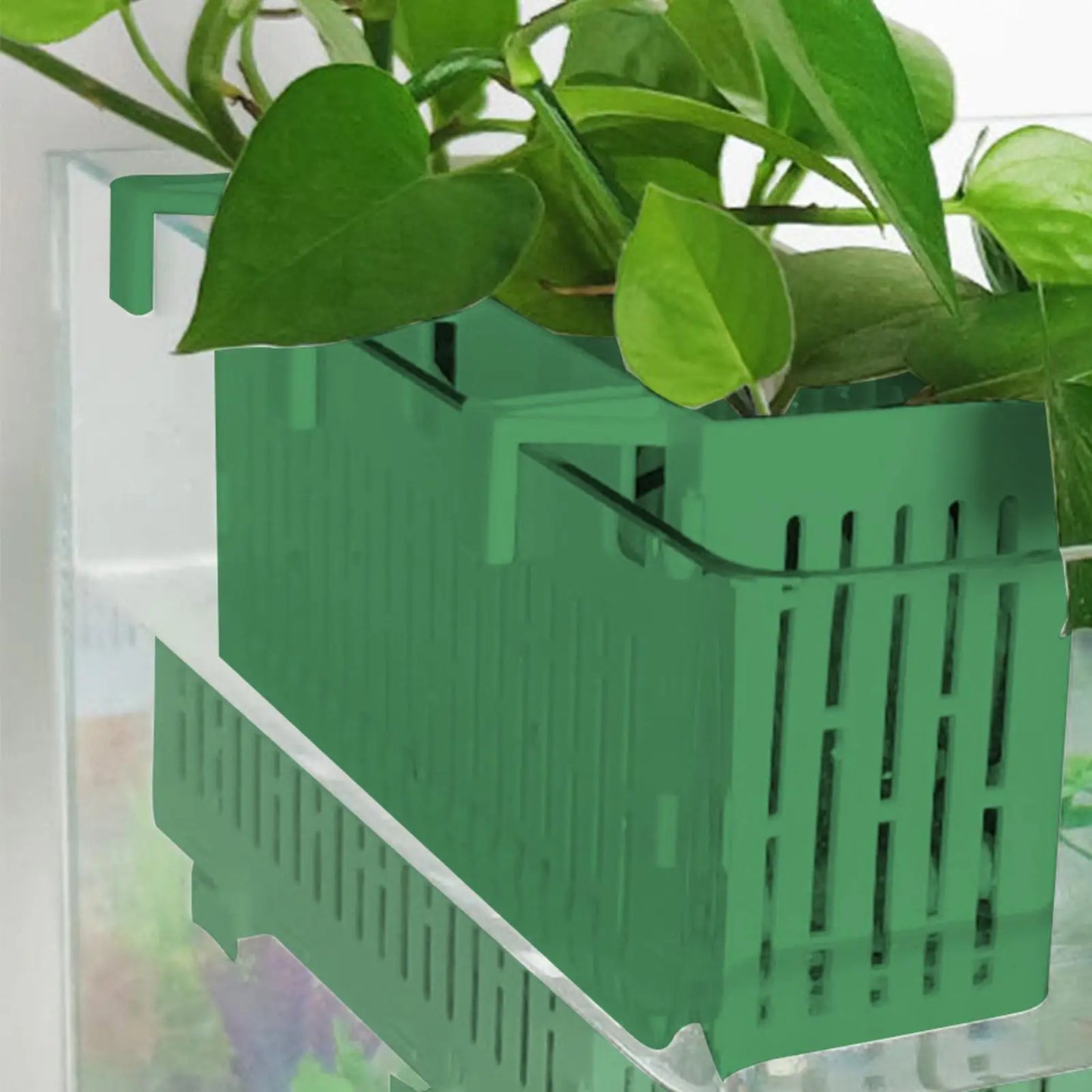 Aquarium Hanging Plant Basket Holder – 2-Pack Hydroponic Basket