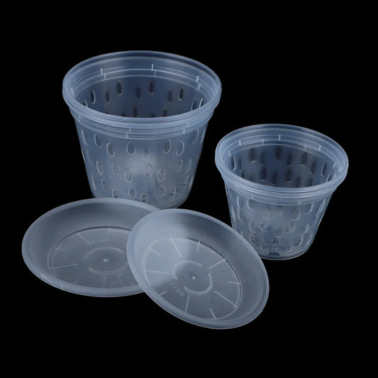 Household Orchid Special Flower Pot Garden Plant Drainage Pots With Hole Transparent Orchid Basket Plastic Breathable Flower Pot Peaceful Pleasures Health and Wellness